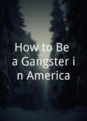 How to Be a Gangster in America海报封面图