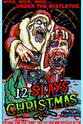 Alan Impey The 12 Slays of Christmas