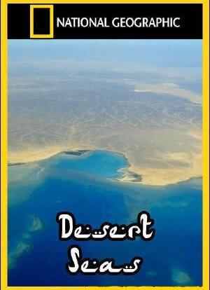 Desert Seas海报封面图