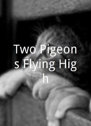 Two Pigeons Flying High海报封面图
