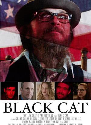 Black Cat海报封面图