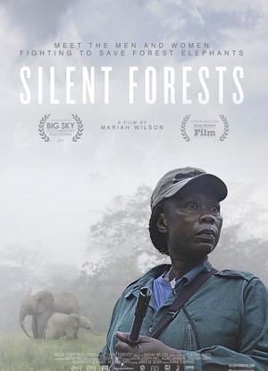 Silent Forests海报封面图