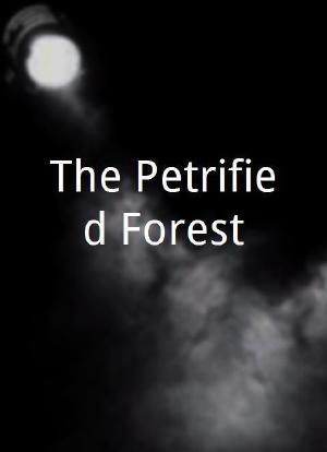 The Petrified Forest海报封面图