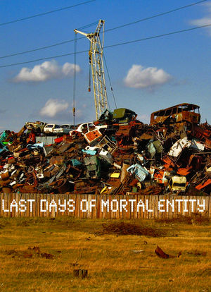 Last Days of Mortal Entity海报封面图