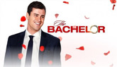 The Bachelor at 20: A Celebration of Love