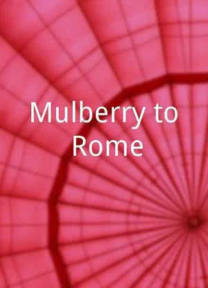 Mulberry to Rome海报封面图