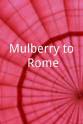 Anthony G. Cohen Mulberry to Rome