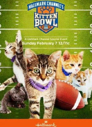Kitten Bowl III海报封面图