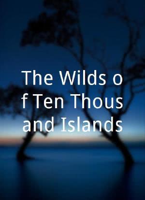 The Wilds of Ten Thousand Islands海报封面图