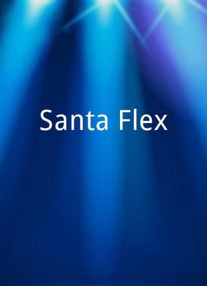 Santa Flex海报封面图