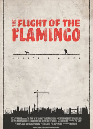 The Flight of the Flamingo海报封面图