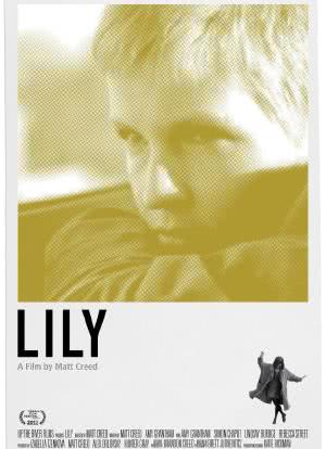 Lily海报封面图