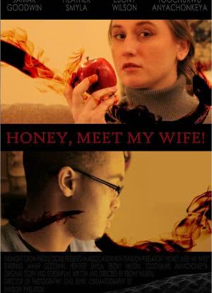 Honey, Meet My Wife!海报封面图
