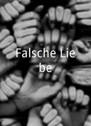 Falsche Liebe海报封面图