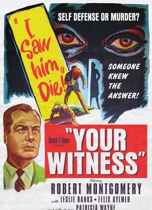 目击证人海报封面图