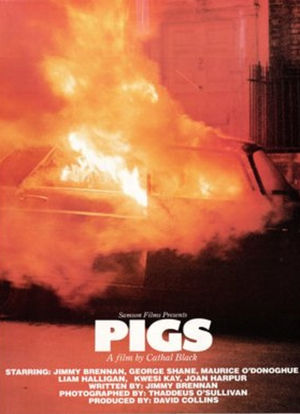 Pigs海报封面图