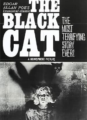 黑猫海报封面图