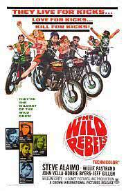 The Wild Rebels海报封面图