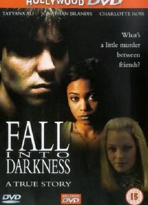 Fall Into Darkness海报封面图