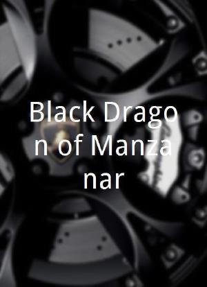 Black Dragon of Manzanar海报封面图