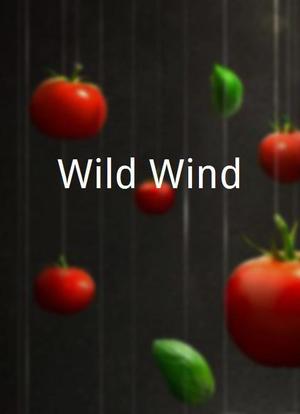 Wild Wind海报封面图
