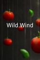 Adriane Polo Wild Wind