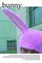 Edward Dratver Bunny