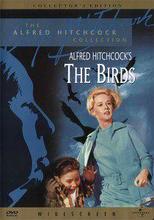 All About "The Birds"