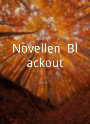Novellen: Blackout海报封面图
