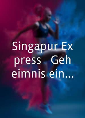 Singapur-Express - Geheimnis einer Liebe海报封面图