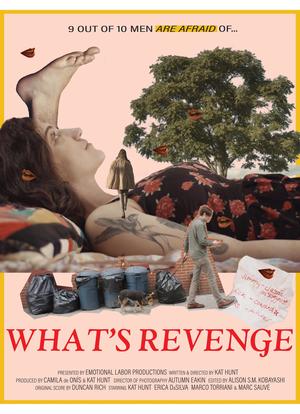 What`s Revenge海报封面图