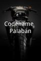 Erwin Montes Codename: Palaban