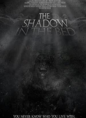 The Shadow in the Bed海报封面图