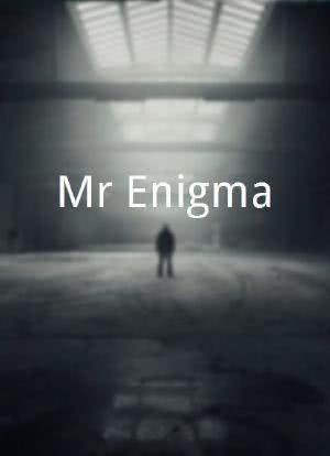Mr Enigma海报封面图