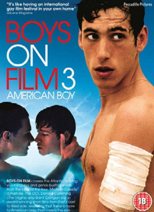 Boys on Film 3: American Boy海报封面图