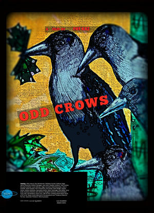 Odd Crows海报封面图