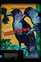 Pixel Kaz Odd Crows