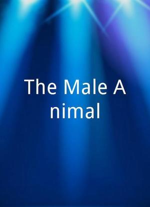 The Male Animal海报封面图