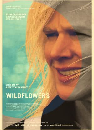 Wildflowers海报封面图