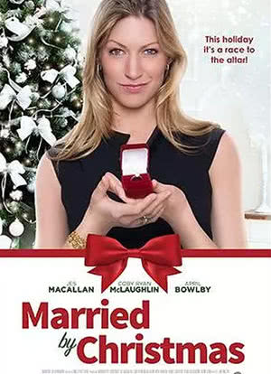 赶在圣诞节前的婚礼海报封面图