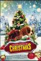 Jesse Isiah Lucero Project: Puppies for Christmas