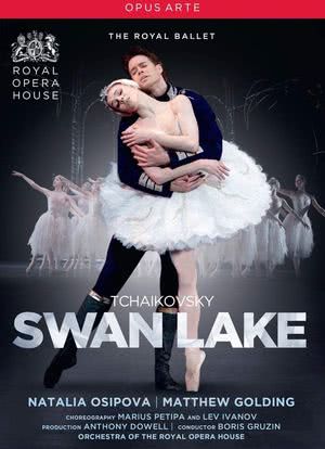 Swan Lake海报封面图