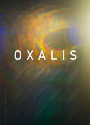 Oxalis海报封面图