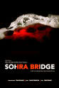 Nishita Goswami Sohra Bridge