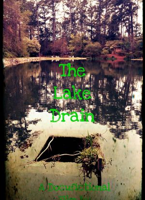 The Lake Drain海报封面图