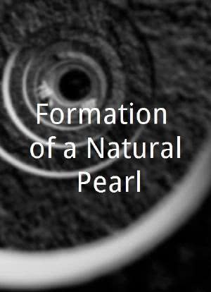 Formation of a Natural Pearl海报封面图