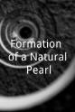 Elizabeth Castellano Formation of a Natural Pearl