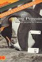 Aubrey Buxton King Penguin: Stranded Beyond the Falklands