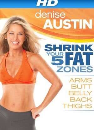 Denise Austin: Shrink Your 5 Fat Zones海报封面图