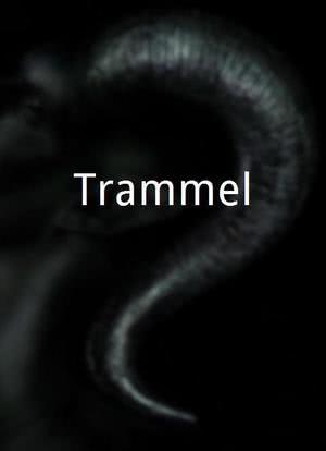 Trammel海报封面图